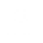 Electricity 